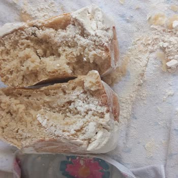 Karaca Bakexl Ekmek Yapma Makinesi Çiğ Ekmek Sorunu Ve Engelli Kullanıcıya Çözüm Bekleniyor