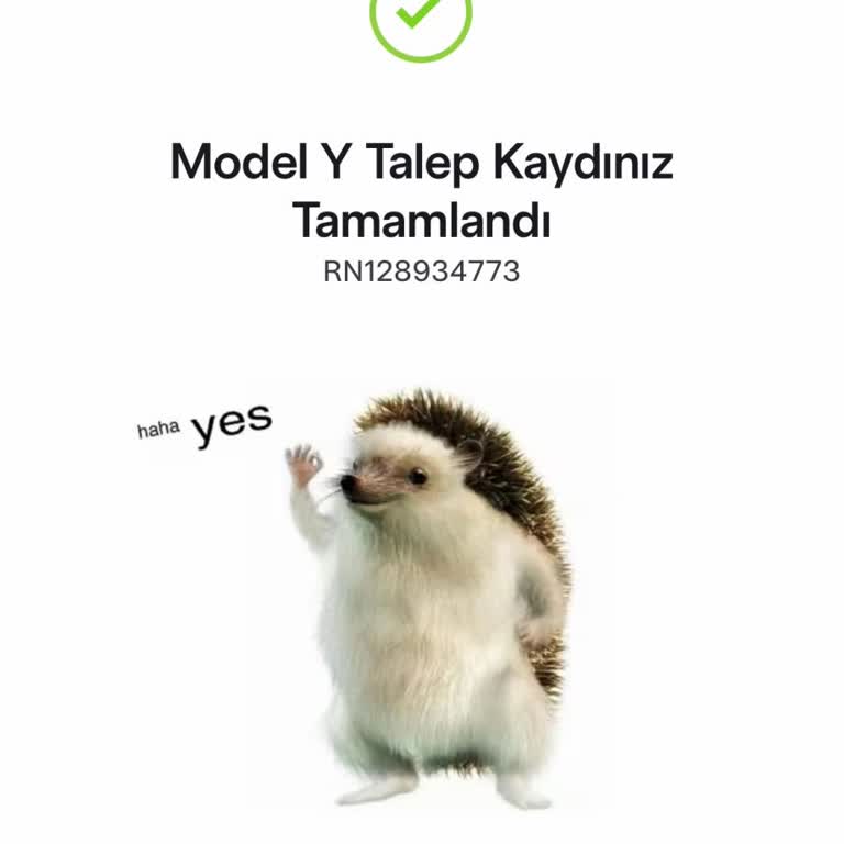 Tesla Model Y Siparişindeki Kapora Maili Gecikmesi Ve Teslimat Sorunu