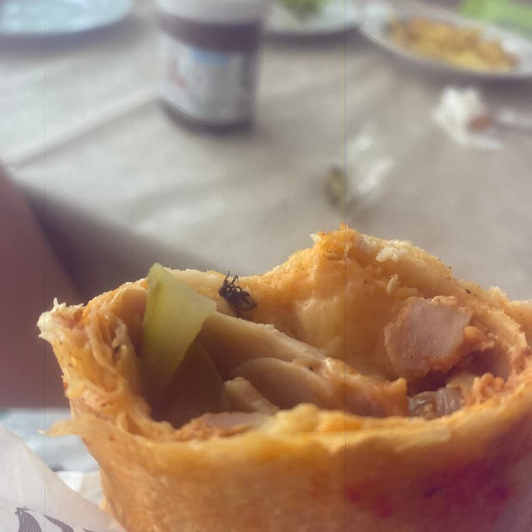 Beysos Döner’da Tavuk Dürüm İçinde Sinek Bulunması Hijyen İhlali