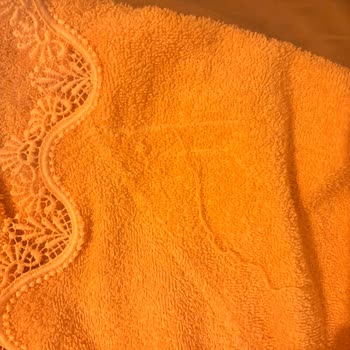 Sürekli Dantel Yırtılması Ve Tekrarlanan Değişim Reddi