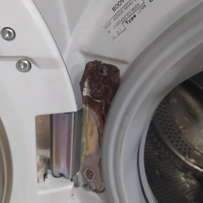 Garanti Bitiminde Menteşede Paslanma Ve Fatura Erişimi Sorunu