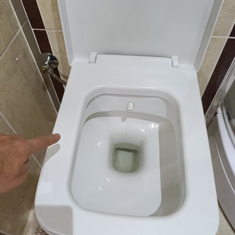 Ege Vitrifiye Kırık Klozet Kapağı İçin Yedek Parça Talebi