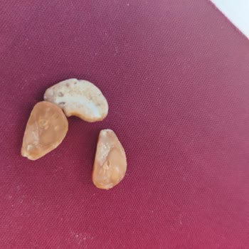 Migros Kuruyemiş Paketi Bayat Ve Küflü Çıktı, Sağlık Riski Ve 200 TL İade