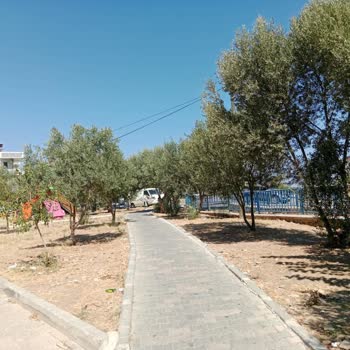 Çocuk Parkı Çöplerle Dolu Ve Bakımsız, Belediye Yanıt Vermiyor