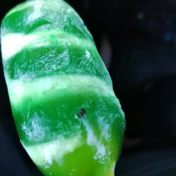 Algida Twister Dondurmasında Böcek: Çocuk Güvenliği Ve Şikayet