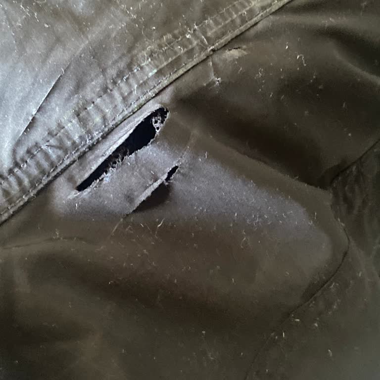 Bañador Bershka destruido tras primer uso, solicito reemplazo o reembolso