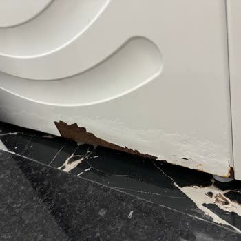 Bosch Çamaşır Makinesinde Paslanma Sorunu Ve Ücretli Değişim Talebi