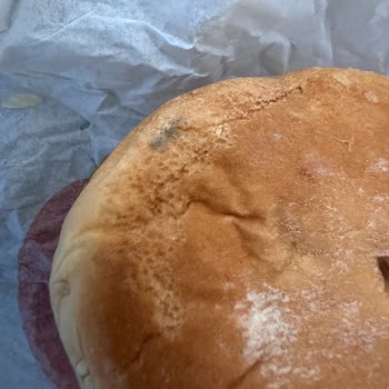 Hamburger Ekmeğindeki Koyu Lekeler Gıda Güvenliği Sorunu Ve Yetersiz İade