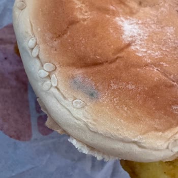 Hamburger Ekmeğindeki Koyu Lekeler Gıda Güvenliği Sorunu Ve Yetersiz İade