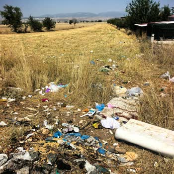 Kargın Yazlık Evleri Çöp Konteyneri Çevresinde Temizlik Ve Denetim İhtiyacı