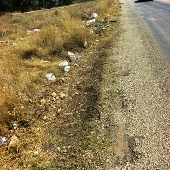 Kargın Yazlık Evleri Çöp Konteyneri Çevresinde Temizlik Ve Denetim İhtiyacı