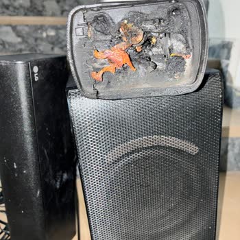 LG Ses Sistemi Alev Aldı, Güvenliğim Tehlikede Ve Yetkili Cevap Vermedi