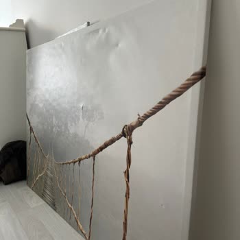 Ataoğlu Nakliyat'tan Hasarlı Taşınma, Gecikmeler Ve Şikayet Silinmesi