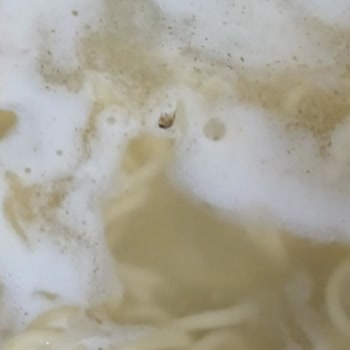 İndomie Noodle’da Böcek Bulunması: Sağlık Riski Ve Ücret İadesi Talebi