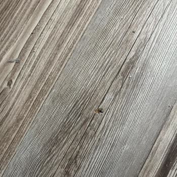 Yetkili Servisin Dikkatsizliği Sonucu Klima Ve Eşyalarımızda Büyük Hasar