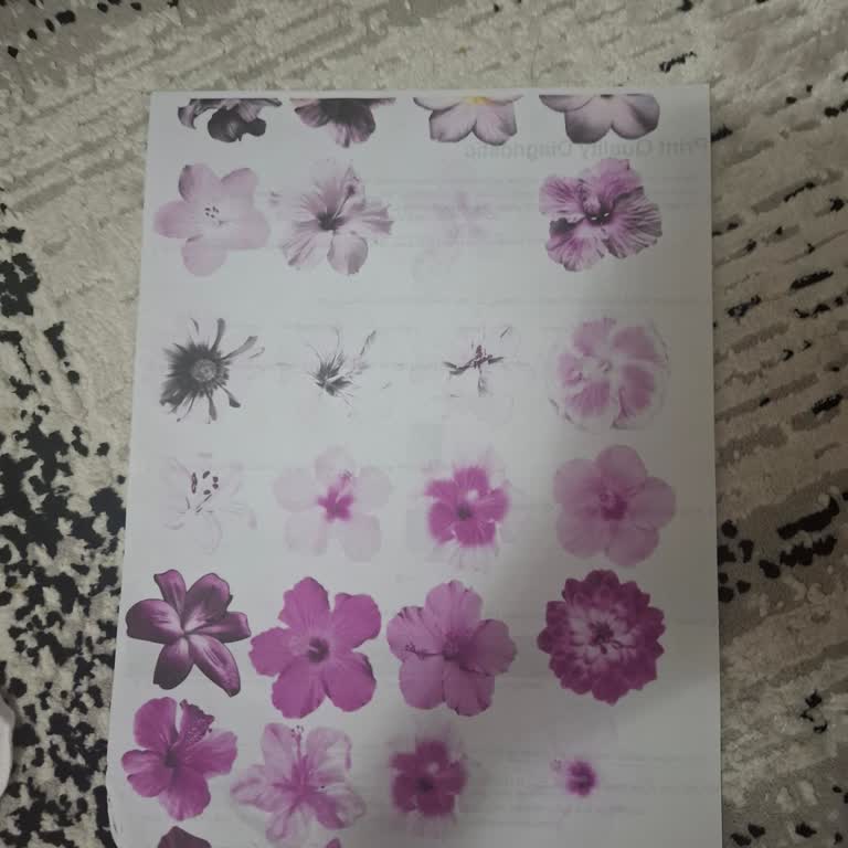 HP Ink Tank 315 Pink Print Error