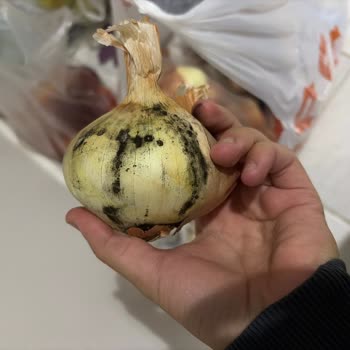 Yanlış Fiyat Ve Bozuk Ürünlerle Dolu Bir Sipariş