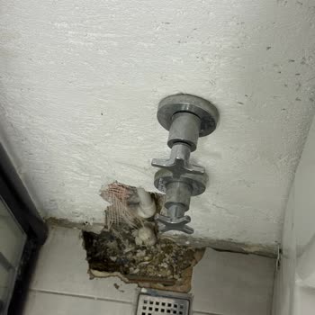 Pago Villa Sapanca Mahremiyet İhlali ve Hijyen Eksikliği Nedeniyle Büyük Mağduriyet