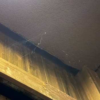 Temizlik İhmal Edildi, Personel Umursamaz Davranarak Mağduriyetimizi Hafife Aldı