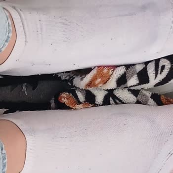 Adidas Handball Spezial Ayakkabısının Renk Vermesi Ve İplik Sökülmesi Kullanıcı Hatası Olarak Reddi