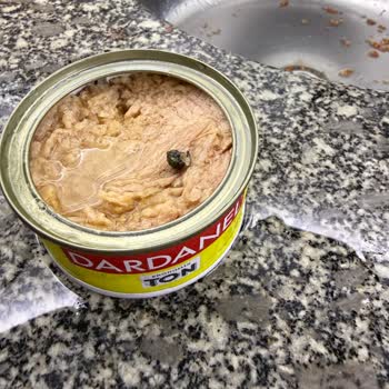 Şok Mağazasındaki Dardanel Ton Balığı Konservesinde Böcek Tespiti