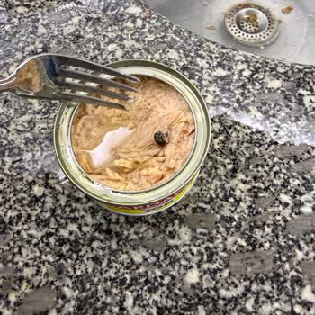 Şok Mağazasındaki Dardanel Ton Balığı Konservesinde Böcek Tespiti