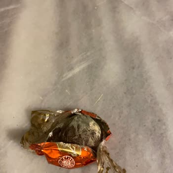 Kahve Dünyası Çikolatası Küflenmiş Olarak Teslim Edildi