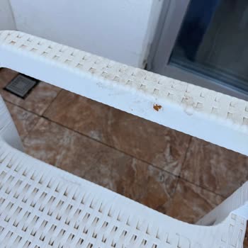 My Belek Collection Otelinde Balkon Kapısı Kilidi Bozuk, Güvenlik Endişesi Ve Hijyen Sorunları