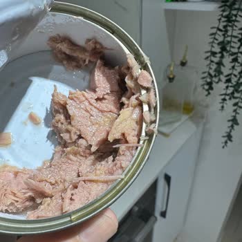 Migros Ton Balığı Konservesinde Kocaman Kılçıklar: Sağlık Riski