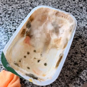 Migros'tan Küflü Labne Peyniri: Son Tüketim Tarihi Uzun Olmasına Rağmen Sağlık Riski