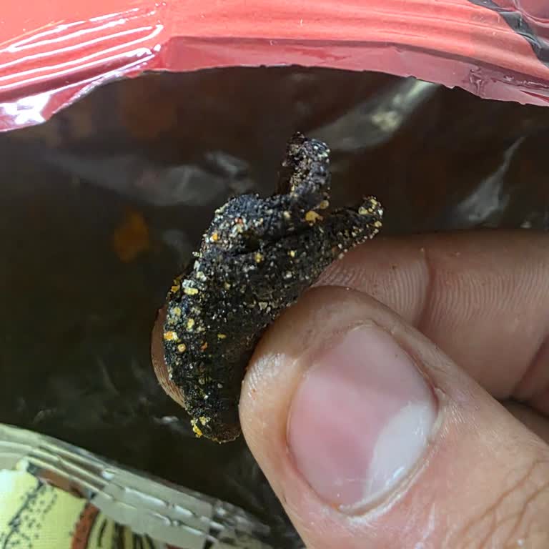 Patos Rolls Ürünün Yanmış Ve Yabancı Madde İçeren Cipsleri Sağlık Endişesi Yarattı