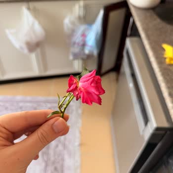 Onaylanan Çiçek Görseli Gönderilen Ürünle Eşleşmiyor