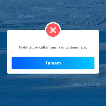 Maaş Müşterisi Olduğuma Rağmen Mobil Şube Erişimim Engellendi