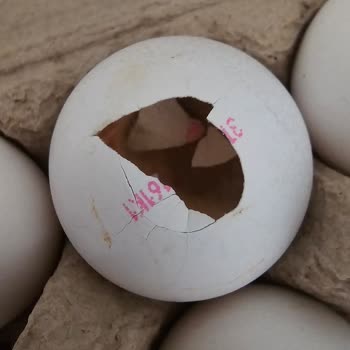 Şok Marketler Kırık Ve Bozuk Yumurta İçindeki Siyah Oluşum Gıda Güvenliği Endişesi