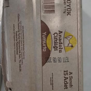 Şok Marketler Kırık Ve Bozuk Yumurta İçindeki Siyah Oluşum Gıda Güvenliği Endişesi