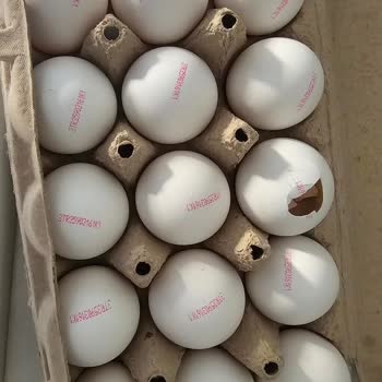 Şok Marketler Kırık Ve Bozuk Yumurta İçindeki Siyah Oluşum Gıda Güvenliği Endişesi