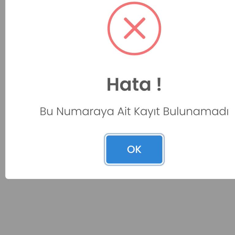 Fahiş 9.120 TL Fatura Ve Hesaba Erişim Engeli