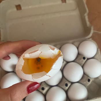 BİM Şubesinde Yumurta İçinde Belirsiz Pis Madde Çıktı: Sağlık Endişesi Ve İade Talebi