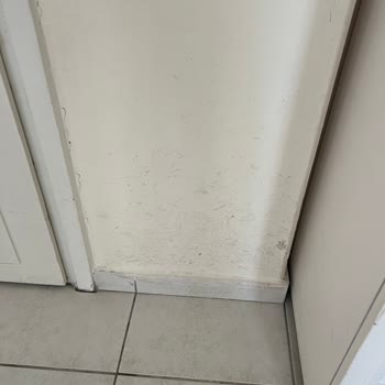 Yüksek Ücretli Temizlikte Koku Ve Eksik Temizlik Şikayetim