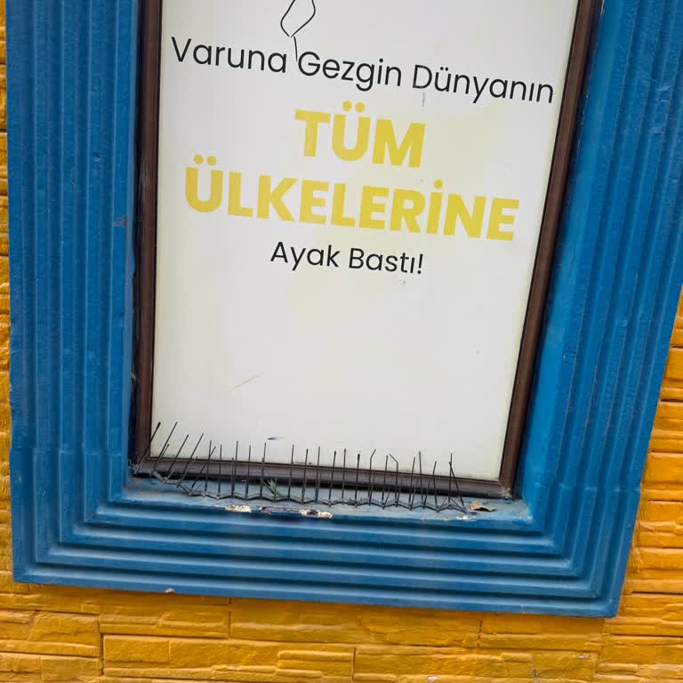 Varuna Gezgin'in Sivri Metal Engelleri Hayvanları Engelliyor Ve Kaldırılmasını Talep Ediyorum