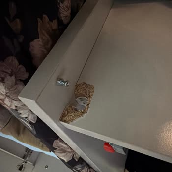 Estella Dolabının Rafı Çöktü, Servis Yanıtsız Kalıyor