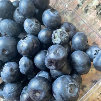 Migros Hemen Siparişindeki Bozulmuş Yaban Mersini Ve Küflenmiş Mantarlar İçin İade Talebi