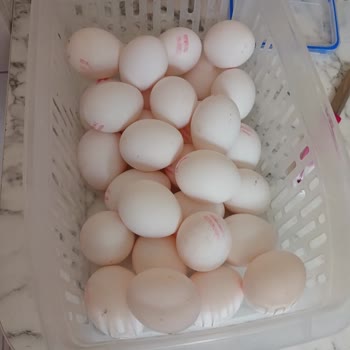 Büyük Boy Yumurta Paketi Yanıltması Ve İade Talebi