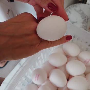 Büyük Boy Yumurta Paketi Yanıltması Ve İade Talebi