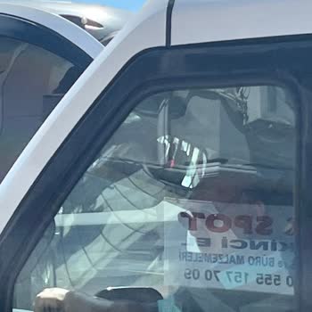 Şoförün Çocuğun Baygın Halinde Yolcuyu Bırakmaması Ve Saygısız Tutumu