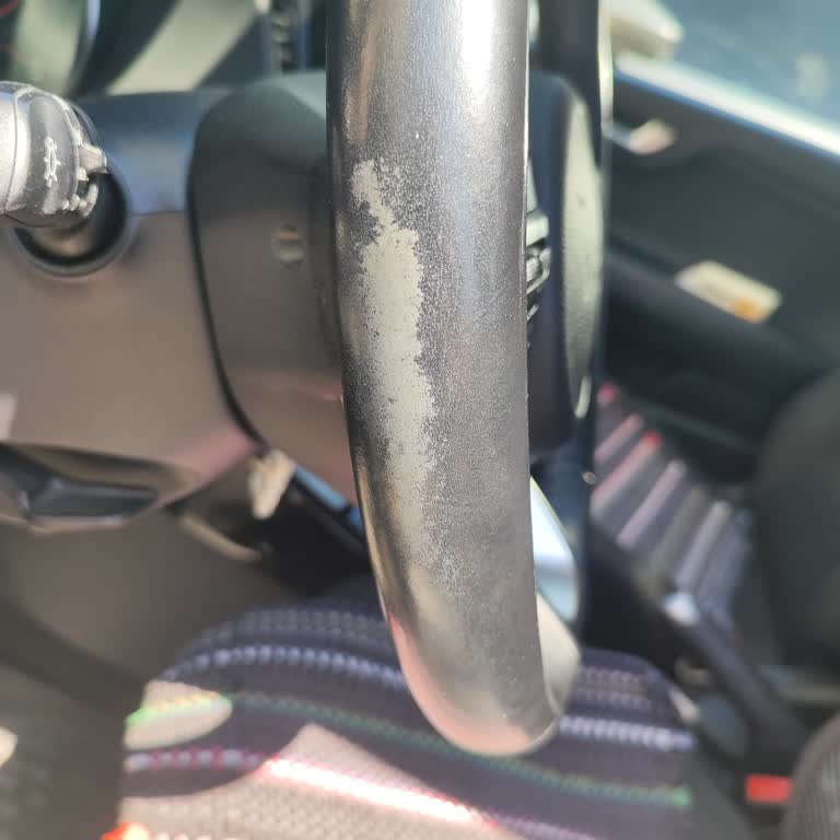 Kia Rio Steering Wheel Peeling at 28,000 km – Warranty Replacement