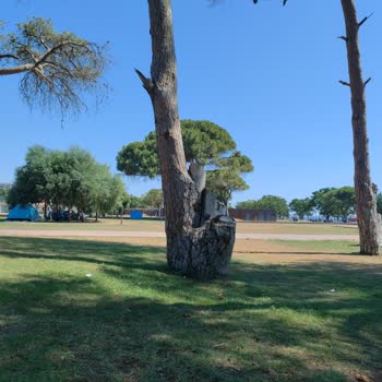 Turaş Turizm Belek Halk Plajında Sorun Yaşama