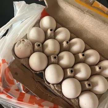 Migros Hemen Siparişimde Bozulmuş Gıdalar Ve İade Sorunu