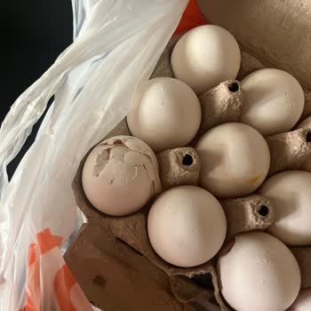 Migros Hemen Siparişimde Bozulmuş Gıdalar Ve İade Sorunu