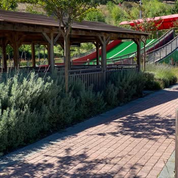 Vaillant Tema Park’ta Ani Boy Sınırı Değişikliği Ve Tam Bilet Sonrası Haksızlık